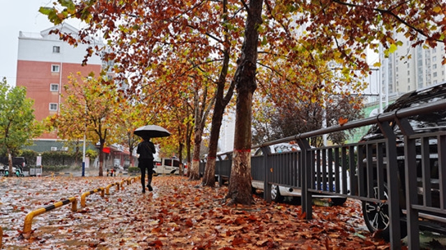 雨中周口，別有一番韻味