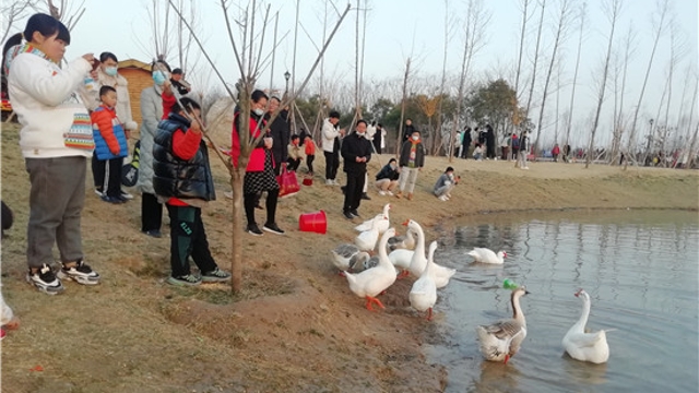 淮陽(yáng)梅園：梅花迎春開(kāi) 游玩好去處