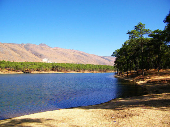 領(lǐng)略西域旅游景點中的“四大美人”